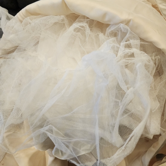 Mon Cherri Bridal Elegant Strapless Ivory Wedding Dress Size 10 W28 - Picture 13 of 13